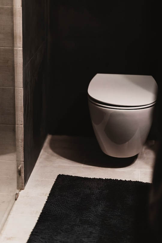 elongated toilet tankless