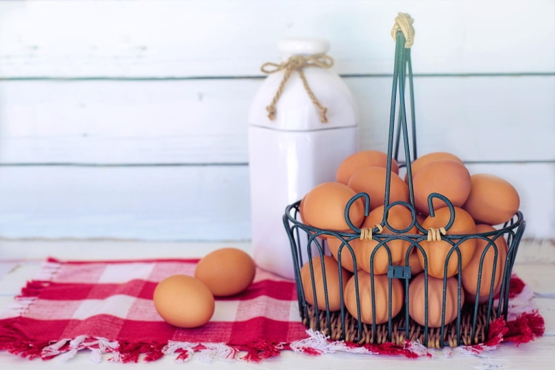 eggs