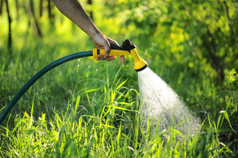 garden hose