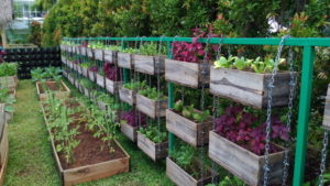 20 DIY Vegetable Garden Plans You Can Make Today (with Pictures)Popular PostsRelated posts