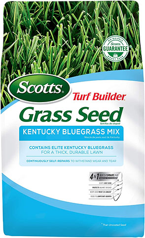 Scotts Turf Builder Grass Seed Kentucky Bluegrass Mix