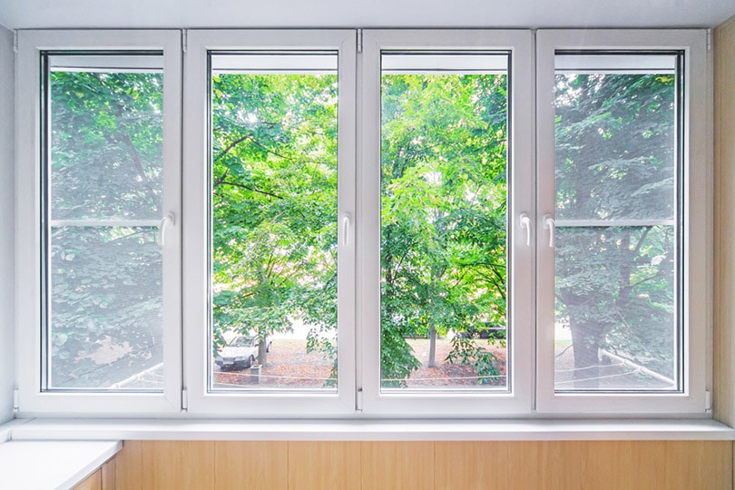 white fiberglass windows