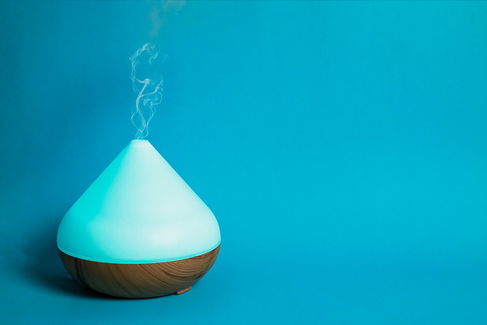 Warm Mist Humidifier_Denise E_Shutterstock