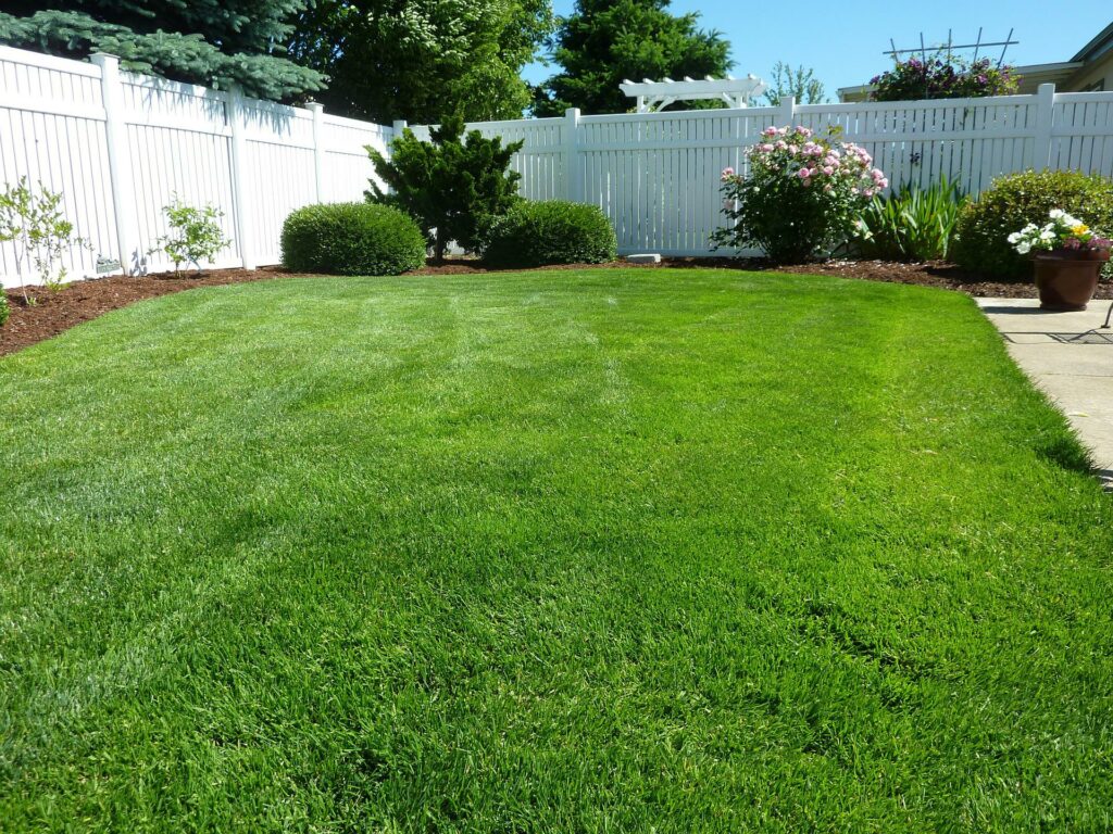 Vinyl fence in backyard with grass
