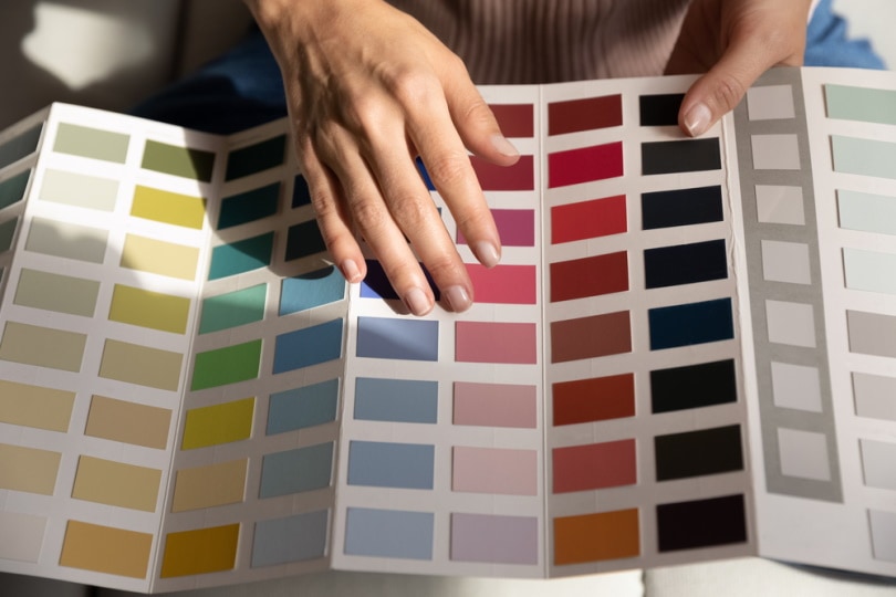 woman choosing paint color