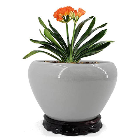 Muzhi 7” Cracked Ice Glaze Ceramic Planter