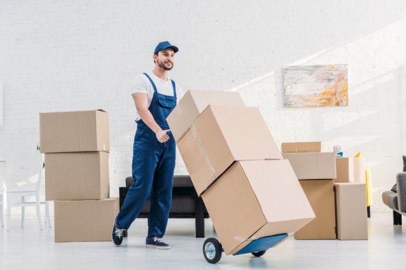 mover transporting boxes