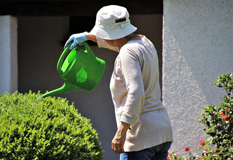 Watering Garden