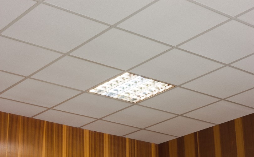 ceiling tiles in an office