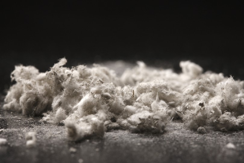 close up of asbestos