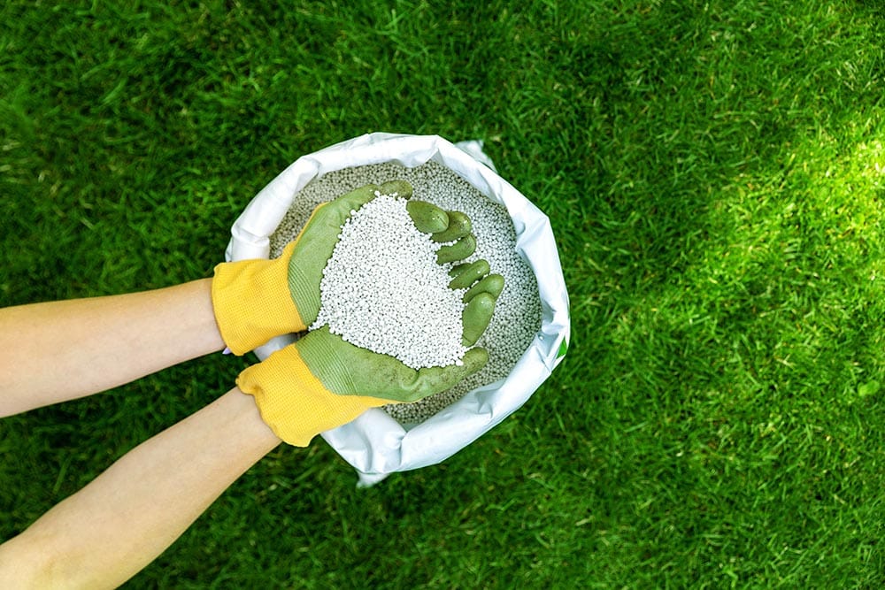 hand scooped fertilizer from the sack