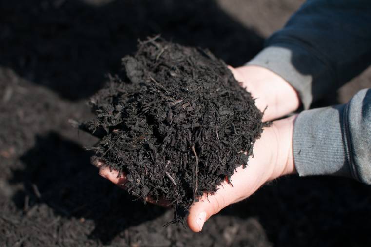 Black Mulches