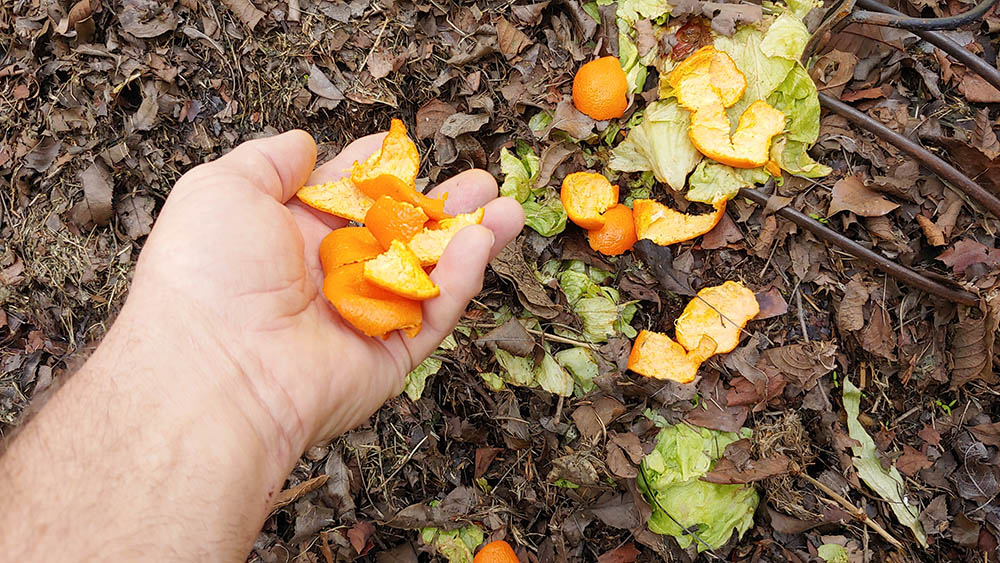 Garden Soil vs. Compost What’s the Difference? Grea Vision