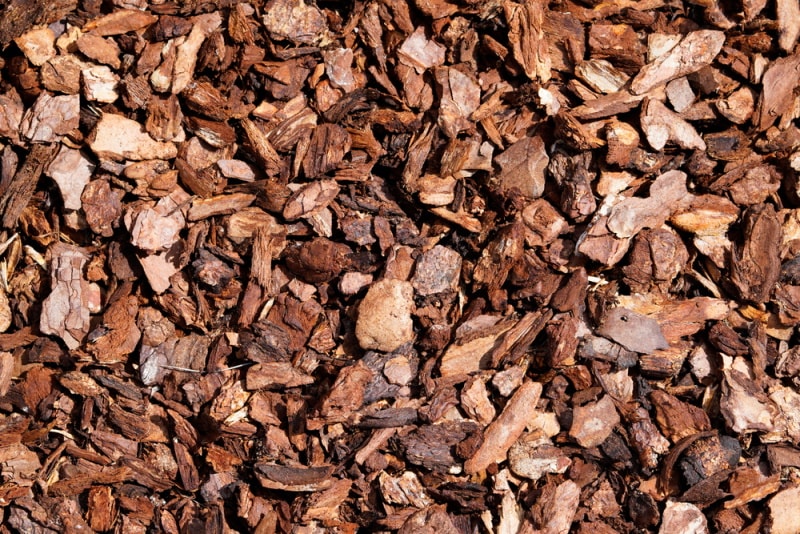 What Are the Best Mulches for Weed Control? 7 Great Options Grea Vision