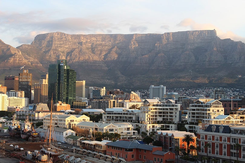 the table mountain view in cape town