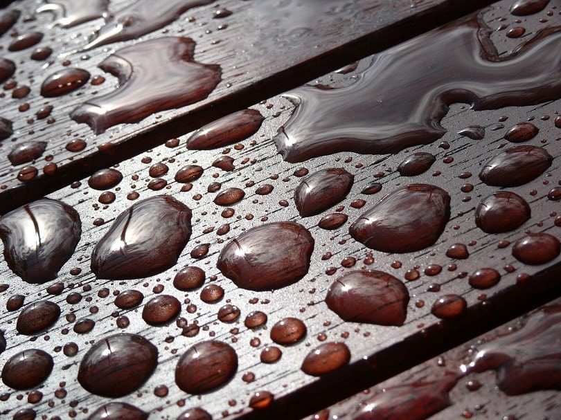 wet wood-pixabay
