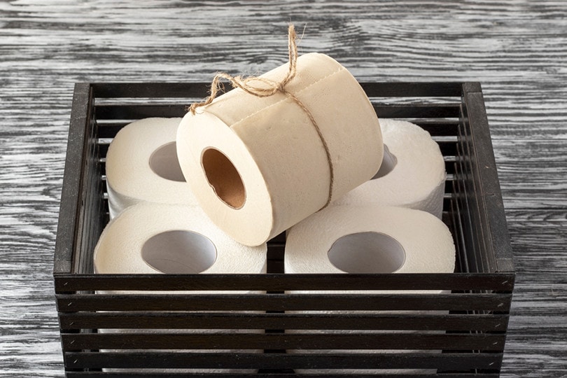 Bamboo toilet paper