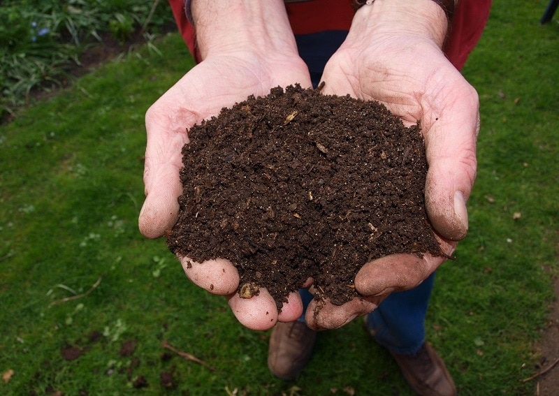 Compost