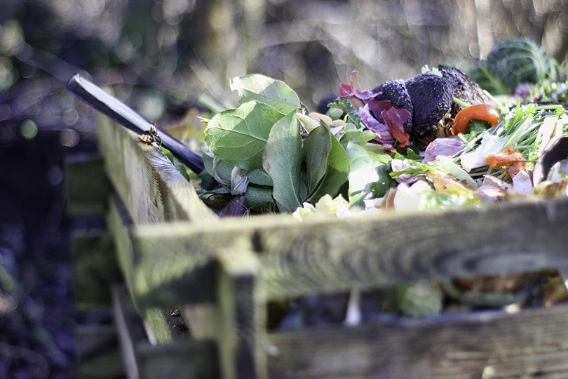 Decompost