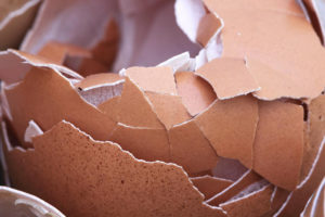 Can You Compost Eggshells? What You Need To Know!Popular PostsRelated posts