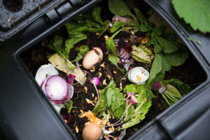 What Can You Compost? 11 Different OptionsPopular PostsRelated posts