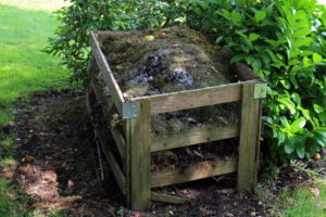 What Not to Compost? 20 Things to Avoid (With Pictures)Popular PostsRelated posts
