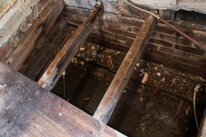 damaged floor joists