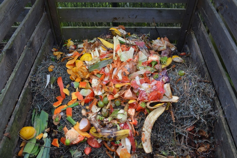 food waste compost