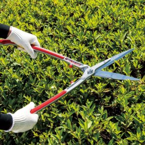 person using ARS HS-KR1000 Professional Hedge Shears