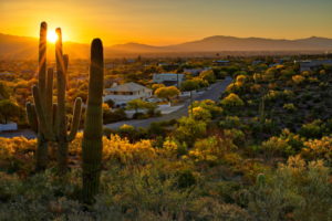 What is the Coldest City in Arizona? What You Need To Know!Popular PostsRelated posts