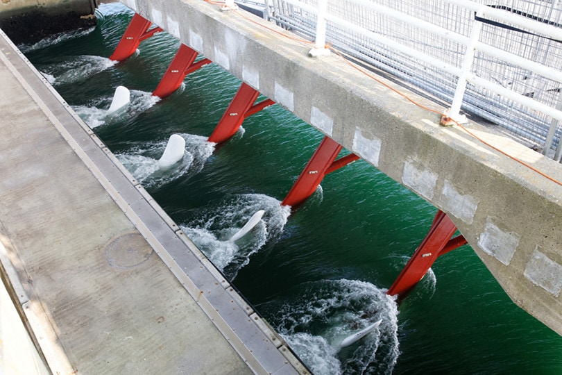 Tidal Energy