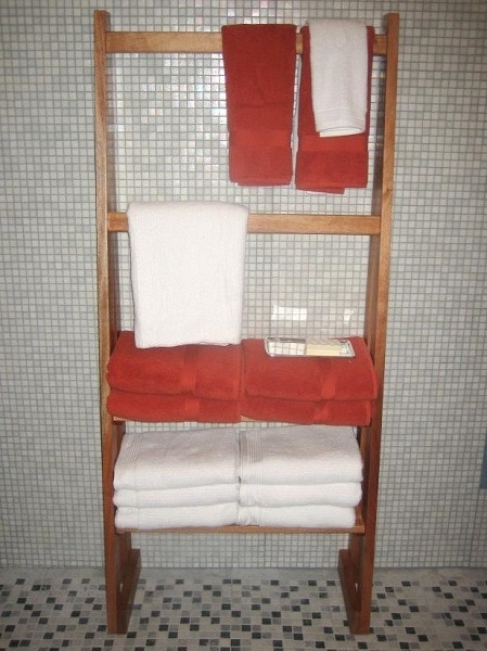 Towel Ladder by HGTV