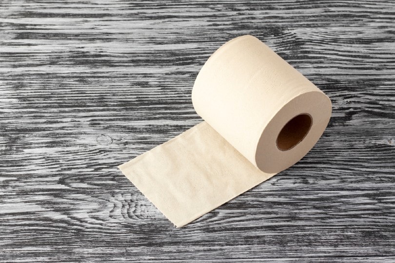 bamboo toilet paper on grey wooden table