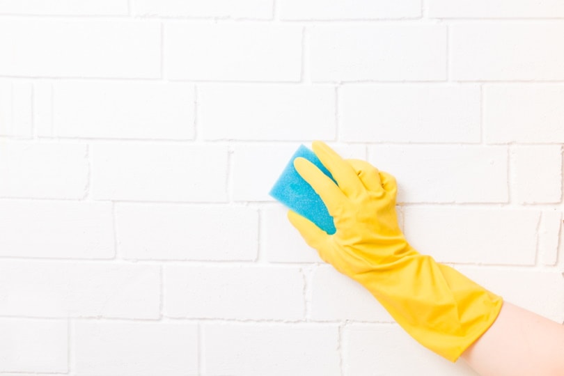 cleaning bricks