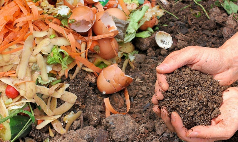 hand holding compost material over the compost pit