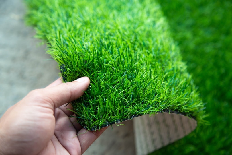 man holding artificial grass