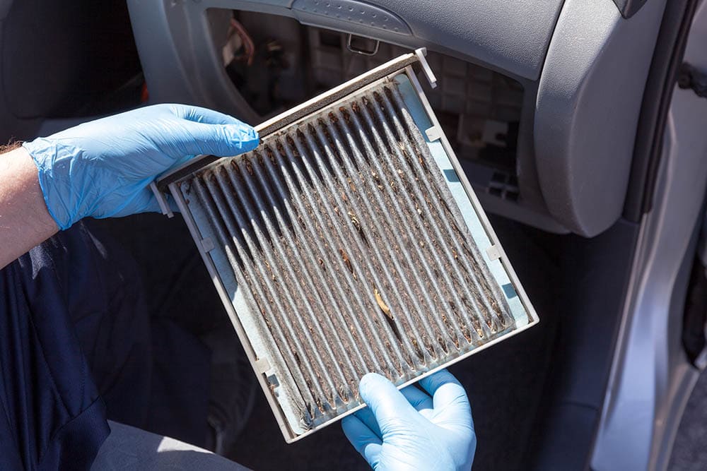 person holding a dirty cabin air filter