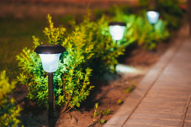 solar garden light