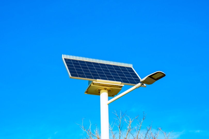 solar street lamp