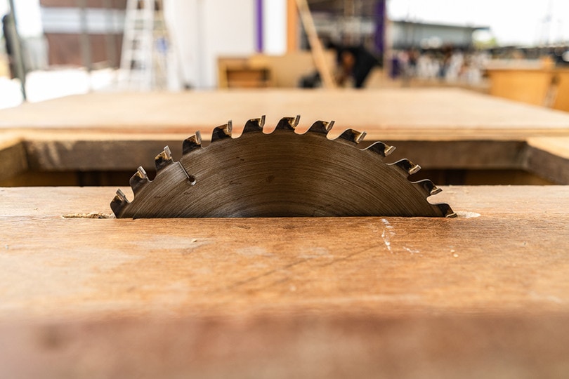 9 Table Saw Injury Statistics And Facts 2022 Update Grea Vision