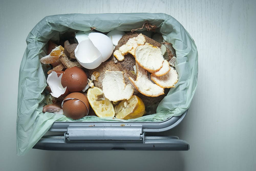 top view of food composting bin