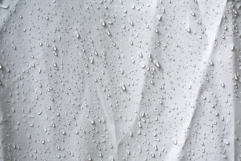 wet shower curtain