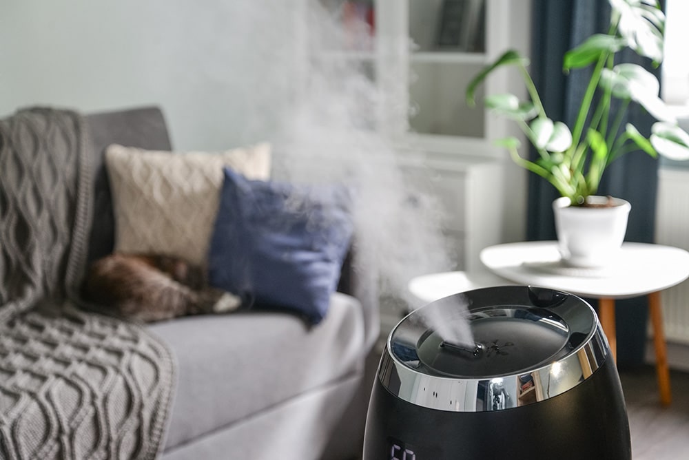 Cool Mist Humidifier_Mamma Mia_Shutterstock