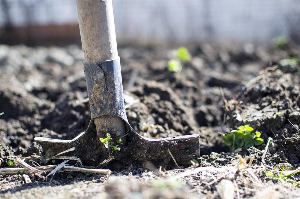 digging soil