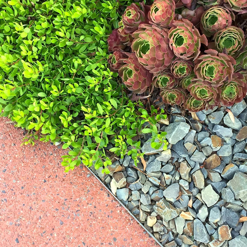 landscape with metal edging