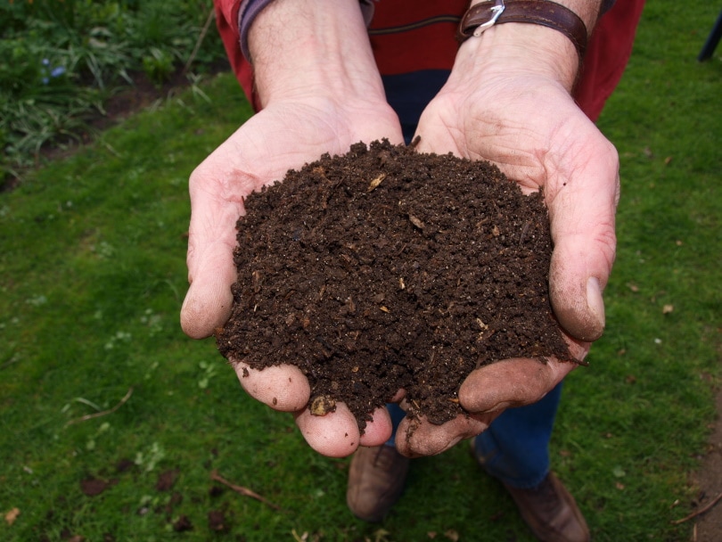 man holding soil