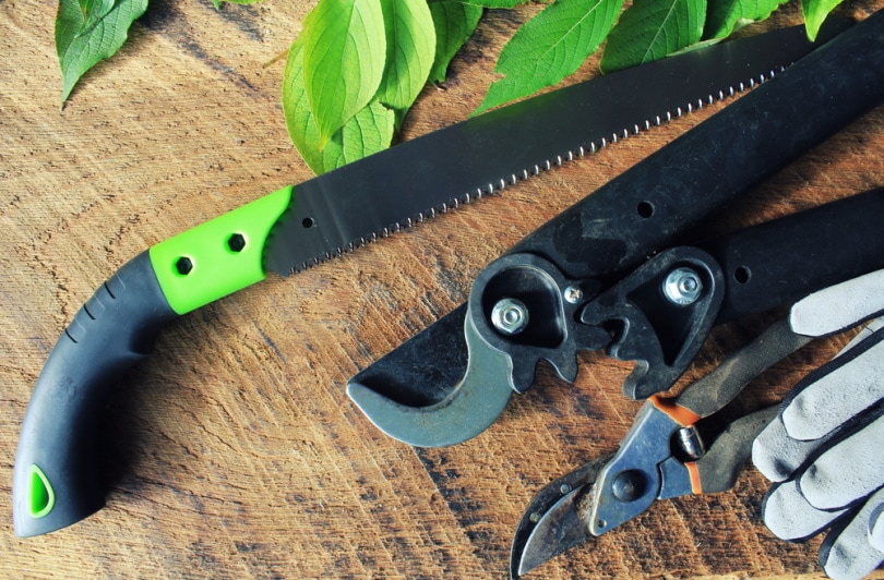 pruning tools