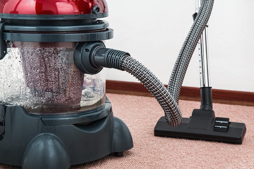 wet and dry vacuum