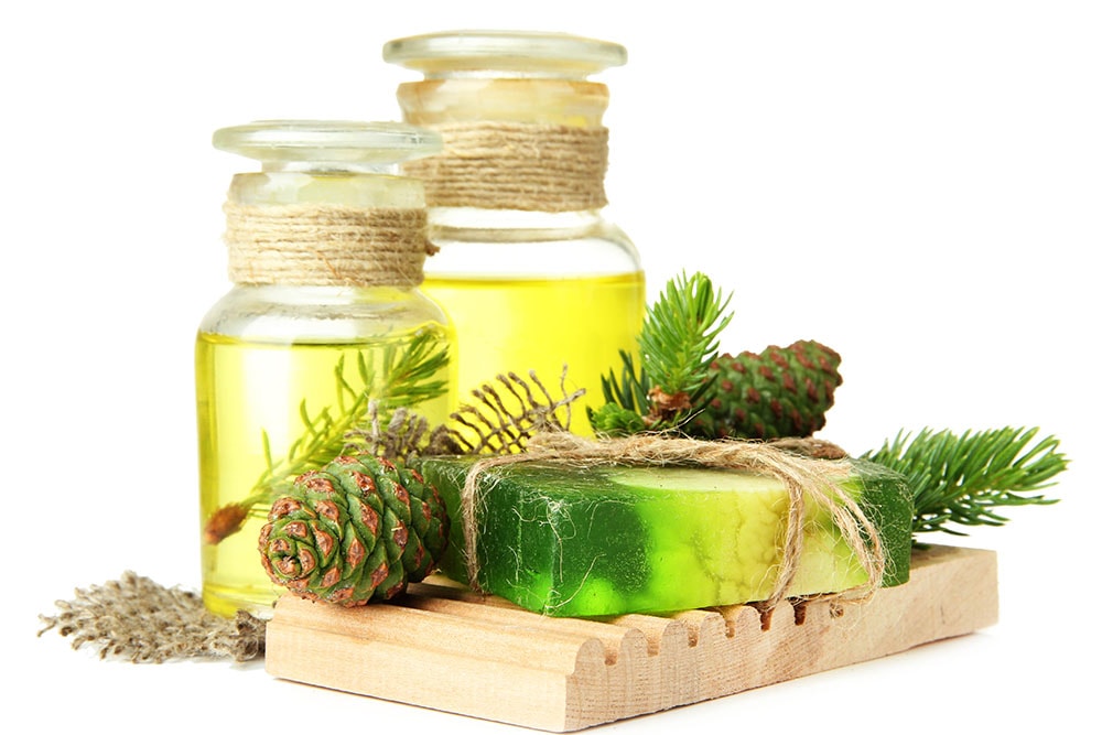 7 Smart Uses for Pine Tree Sap at Home Grea Vision