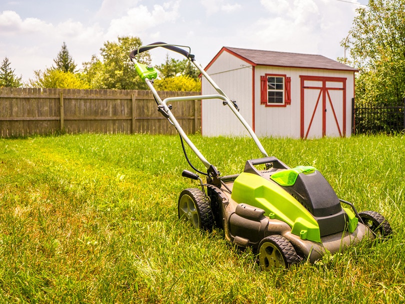 Lawn Mower Shed Storage